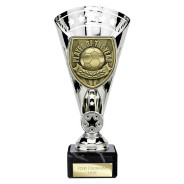 Cobra Star Cup Player of Year Silver