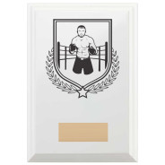 Boxing Reward Plaque In Arctic White