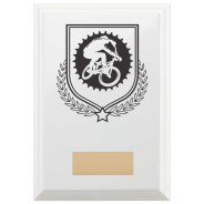 Cycling Reward Plaque In Arctic White