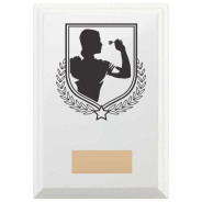 Darts Reward Plaque In Arctic White