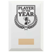 Football Player of the Year Reward Plaque In Arctic White