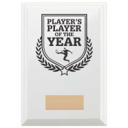 Football Player's Player of the Year Reward Plaque In Arctic White