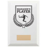 Football Manager's Player Reward Plaque In Arctic White