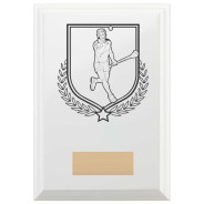 Hurling Reward Plaque In Arctic White