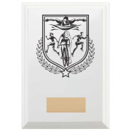 Triathlon Reward Plaque In Arctic White