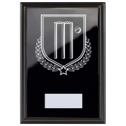 Cricket Reward Plaque In Epic Black