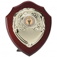 Triumph Gold Shield