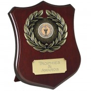 Annual Sports Trophy WOODEN PRESENTATION SHIELD FREE LUXURY ENGRAVING * 
