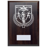 Triathlon Reward Deep Mahogany Plaque