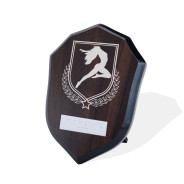 UV Colour Printed Dance Walnut Shield