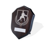 UV Colour Printed Dance Walnut Shield
