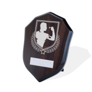 UV Colour Printed Darts Walnut Shield