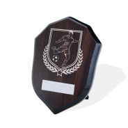 UV Colour Printed Football Walnut Shield