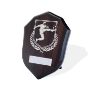 UV Colour Printed Football Walnut Shield