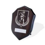 UV Colour Printed Football Walnut Shield