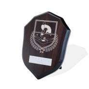 UV Colour Printed Pool Walnut Shield