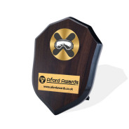 Snowboarding Walnut Shield