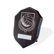 UV Colour Printed Volleyball Walnut Shield