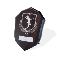 UV Colour Printed Volleyball Walnut Shield