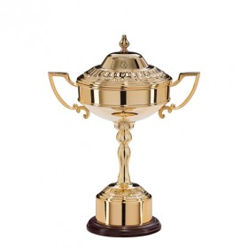 Sterling Gold Plated Cup