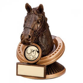 The Endurance Horse Head Award